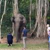 23 Elefanten im Uda Walawe National Park