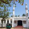 37 Moschee in Negombo